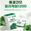 Curly Kale Curly Kale Kelly Kale Powder 100 Raw Freeze