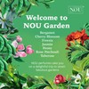nou Bergamot Perfume – Citrus Perfume – Natural Perfume for