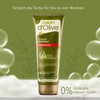 Dalan d'Olive Hair Conditioner Colour Protection 200 ml Pack of