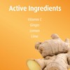 Hubner Ingwer Organic Bonbons, Ginger Hard Candy, 2.4 Ounce Bag