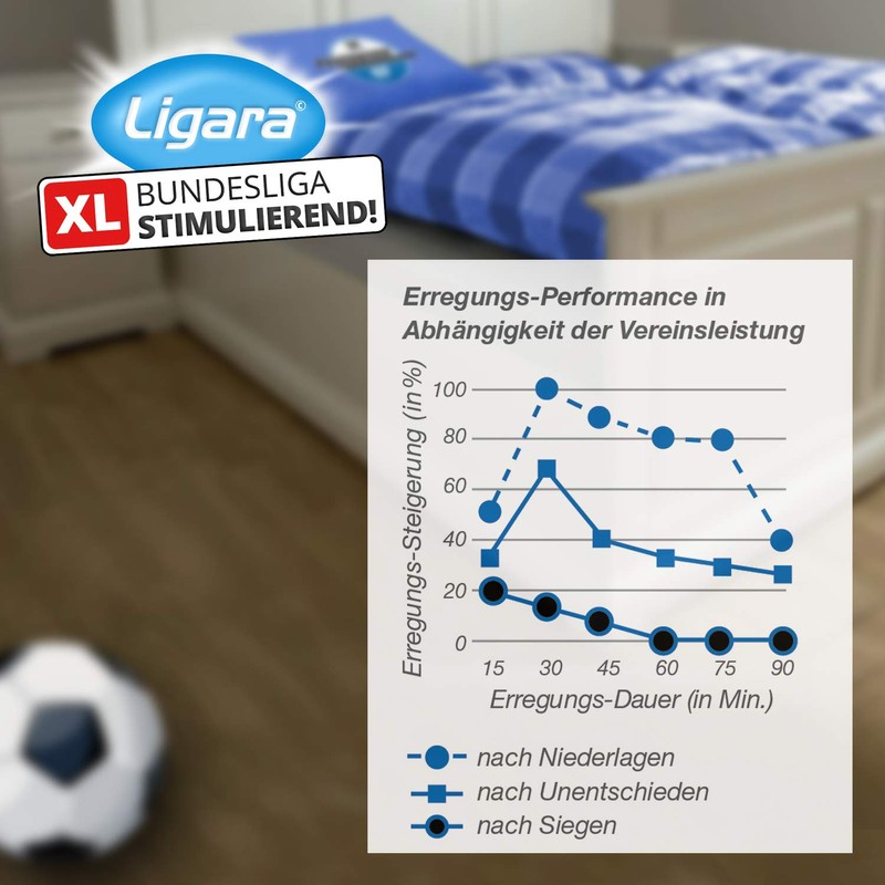 Ligara® for SC Paderborn Fan Item Gift Birthday Fans (1x