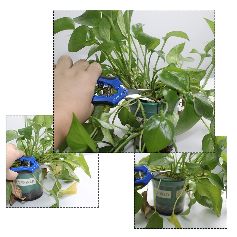 HFS(R) Softouch Micro-Tip Pruning Snip, Leaf Trimmer, Scissor, Quick Pruning