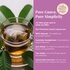 Premium Guava Leaf Tea, 75 TeaBags, 100% Natural Guava Leaves