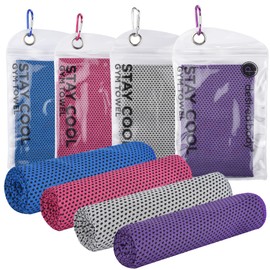desired body Microfiber Cooling Towels for Neck and Face - 4 Pack 40x12” Mesh Quick Dry Gym Towels for Working Out with Waterproof Bag and Carabiner - Sweat Rag for Gym, Sports, Outdoor Activities