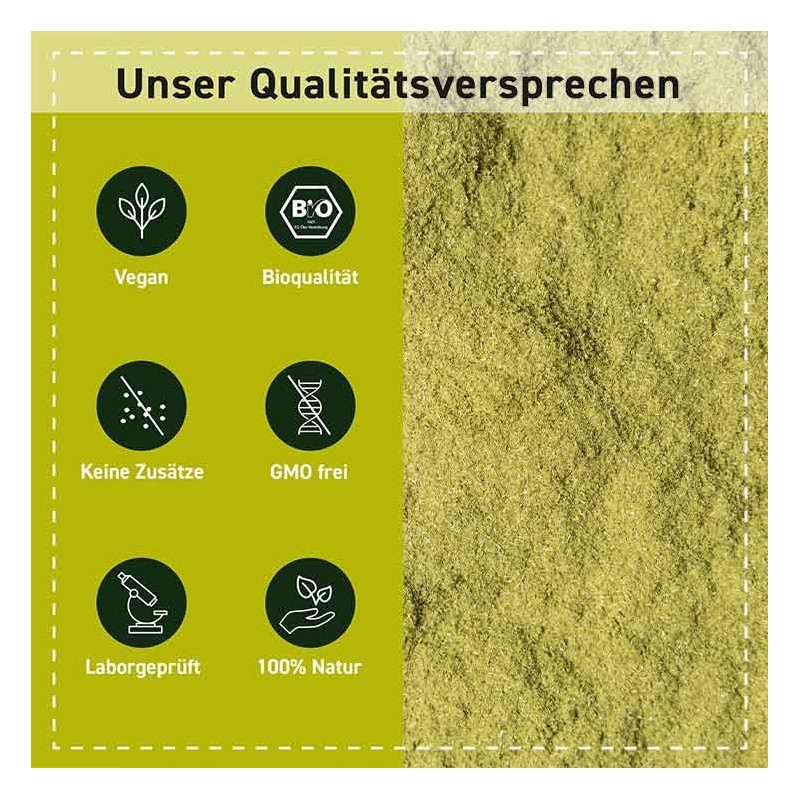 Biotiva Brahmi Organic Powder 100 g - Bacopa Monnieri -