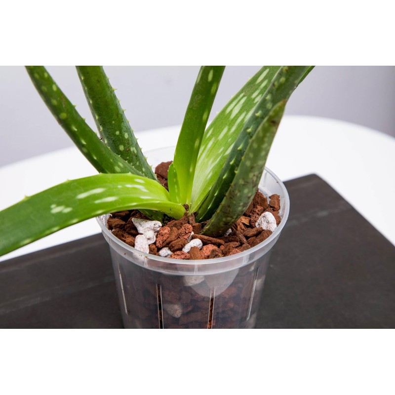 rePotme 3 inch Plant Pots - 6 Pack of Flower