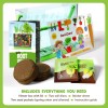 Dan&Darci Root Viewer Kit for Kids - Grow Your Own
