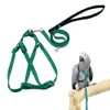 ASOCEA Adjustable Bird Harness Leash,Parrot Harness Leash Pet Anti-bite Training
