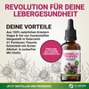 DKT-Natura Leberplus Tropfen - Unterstützt Leberentgiftung, gegen Fettleber (50 ml,