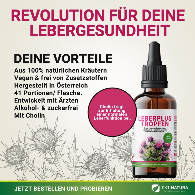 DKT-Natura Leberplus Tropfen - Unterstützt Leberentgiftung, gegen Fettleber (50 ml,