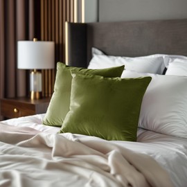 StangH Soft Square Velvet Cushion Cases for Couch 18x18 inches Set of 2, Christmas Decorative Throw Pillow Covers for Living Room Winter Holiday Decor for Car/Bed/Balcony, Olive Green