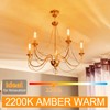 GvvooHome Tubular LED Edison Bulb 2200K Amber Warm Dimmable, 2W