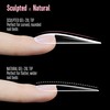 NOVO OVO Sculpted XXL Stiletto Nail Tip for Curved Nails,