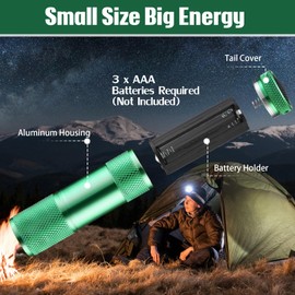 VIHOSE 20 Pcs Mini Flashlights Bulk, Bright Aluminum Handheld Flash Light with Lanyard Small LED Flashlights for Night Reading Emergency Hurricane Camping Hiking, Batteries Not Included(Green)