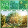 Ribbonlic 20W x 20L Ft Extra Large Fruit Tree Netting
