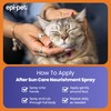 Epi-Pet After Sun Care Nourishment Spray, Veterinary Formulated Dog Skin