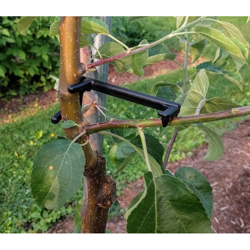 30 PCS Fruit Tree Branch Spreaders Plant Branch Trainer Allow