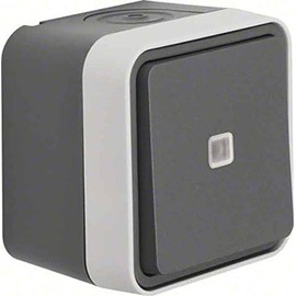 Berker 30763525 Grey light switch 30763525, Buttons, Grey, Blue, 10 A, 250 V