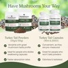 Real Mushrooms Turkey Tail Capsules – Organic Mushroom Extract for