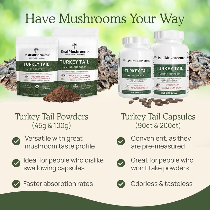 Real Mushrooms Turkey Tail Capsules – Organic Mushroom Extract for