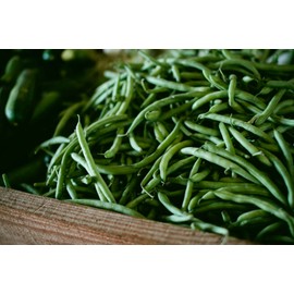 Serendipity Seeds Bean Seeds -Black Valentine Bean - 200 Heirloom Bean Seeds-  Seed Pack