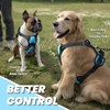 VIVAGLORY Easefit Dog Harness for Walking Hunter & Training, No