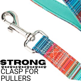 EcoBark Dog Leash - Soft & Reflective Comfort Leash with Padded Handle - Safe, Strong, & Durable for Small, Medium or Large Dogs (Multicolor Stripe)