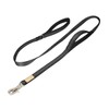 PetPilala Dog Lead, Walking, Training, Training, 2 Handles, Night Reflection