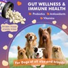 Probiotics for Dogs, Freeze-Dried Dog Probiotics and Digestive Enzymes, Plus