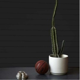 Timeline Classic White Shiplap Engineered Wood Wall Paneling, 3/8 in. 5.5 in. x 72 in. (6-Brds, 16.5 SF/Pkg)