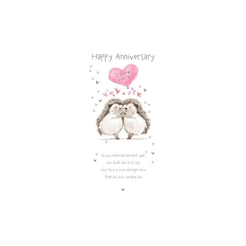 HAPPY ANNIVERSARY Anniversary card 'Happy Hedgehogs' Range