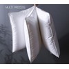 ASSAN LLC Bed Pillows Queen Size Set of 2 -