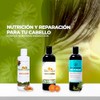 Shampoo Natural de Caléndula | Limpieza Profunda, Suavidad y Reparación