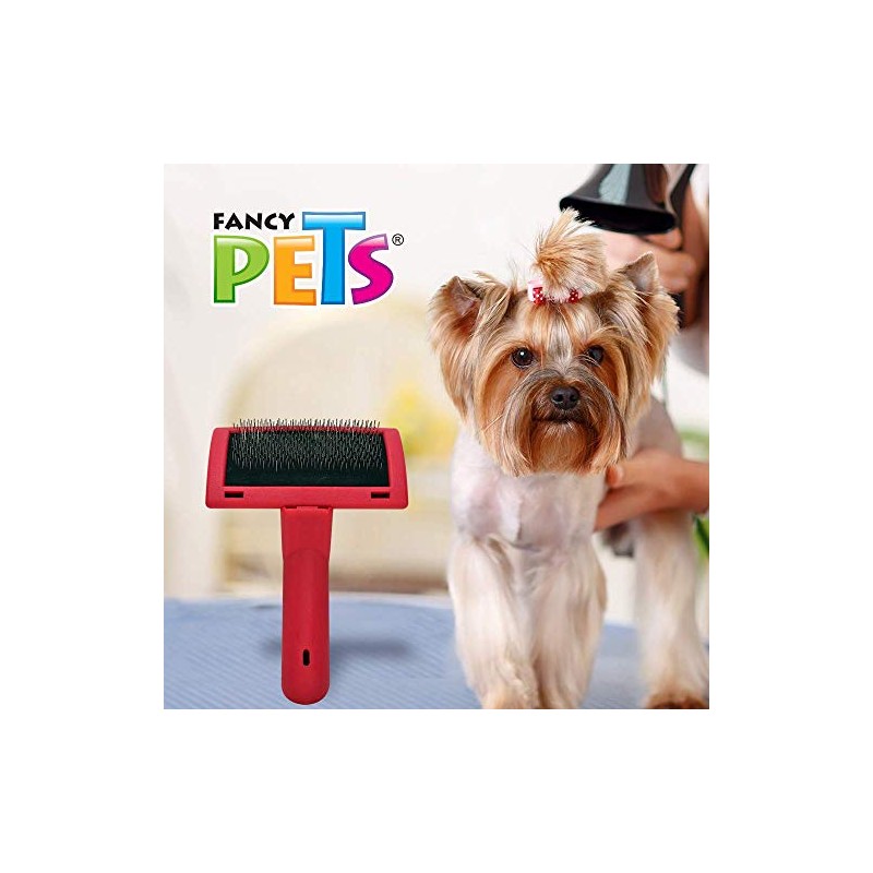Fancy Pets Carda Expert para Perro y Gato Tamaño Chico
