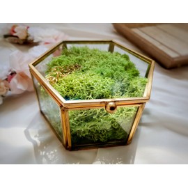Wedding Ring Box, Ring Box, Jewellery Box, Wedding Ceremony, Registry Office, Ring Holder, Ring, Wedding Rings Gold, Jewellery, Engagement, Bride (with Moss Small)