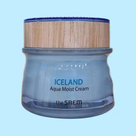 The Saem 더샘 아이슬란드 아쿠아 모이스트 크림 60ml 수분 The Saem Iceland Water Moist Cream 60ml Hydrating