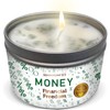 MAGNIFICENT 101 Magnificent 101 Money Financial Freedom Aromatherapy Candle ?