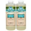 Salt Support Stain & Scale (1 qt) (2 Pack)