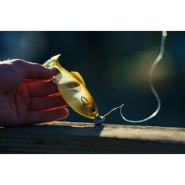 Panorama - Ghost Minnow - Size: 5.0" (3/pk)