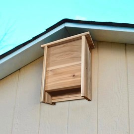 Extra Large Alaskan Western Red Cedar Bat House,16"x12" Bat Supplies, Wildlife Enthusiast Choice for Durability and Success