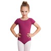 WEGETIT Gymnastics Leotards for Girls Ballet Dance Toddler Leotard Short