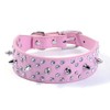 Rhinestones Dog Collar, Stylish Leather Dog Collar, with Bullet Rivets