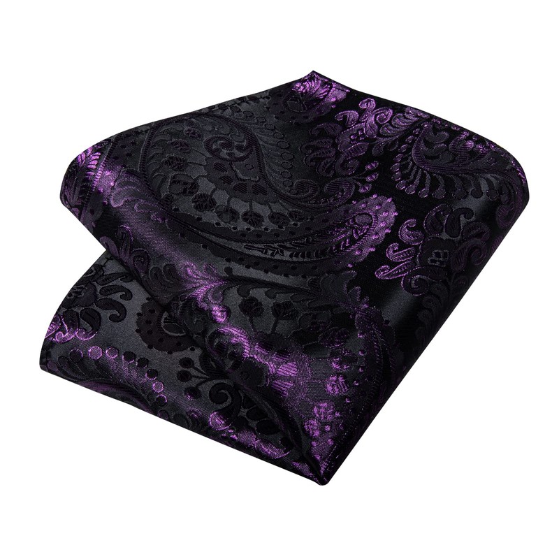 DiBanGu Silk Paisley Ties for Men Woven Necktie and Pocket