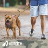 AUROTH Correa para perro grande, resistente y elástica, sin tirones,