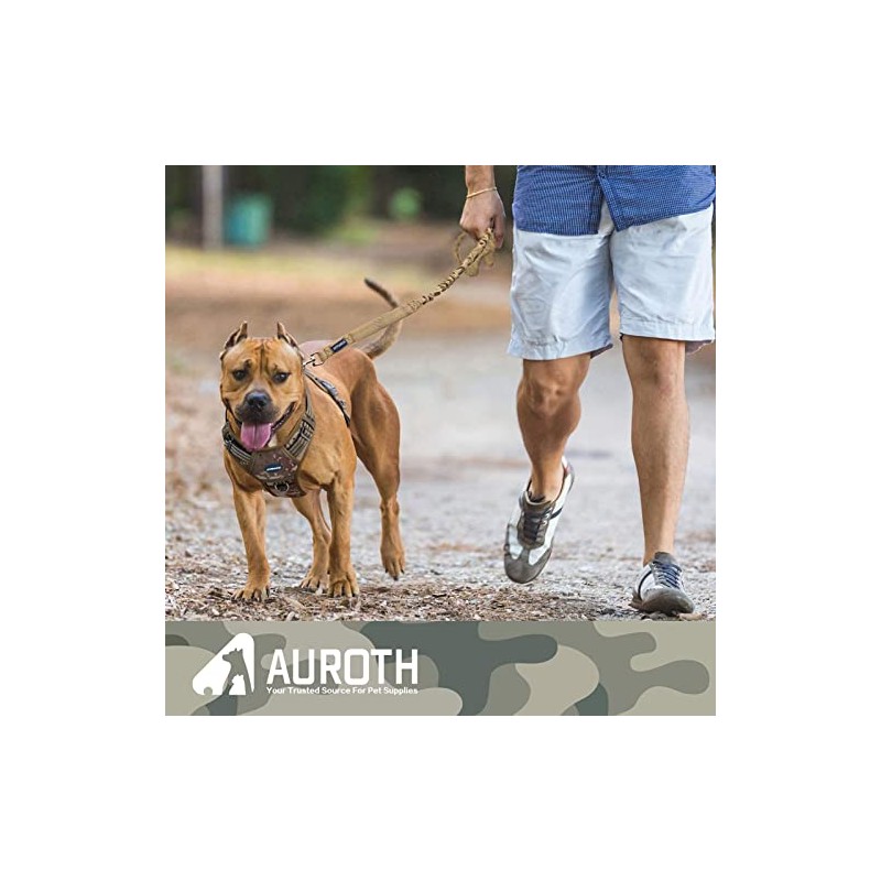 AUROTH Correa para perro grande, resistente y elástica, sin tirones,