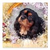 CafePress Cavalier King Charles Spaniel Square Car Magnet 3 Square