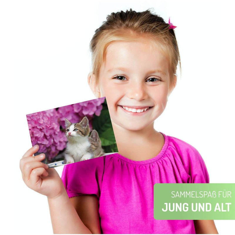 Clever Pool Postcards with Funny and Sweet Animals, for Postcrossing