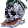 Nemesis Now Resin Dragon Statue - Hand-Painted Dragon Figure Perched