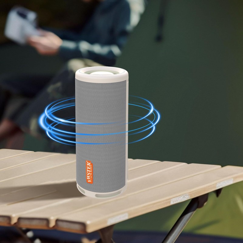 WSTER WS-810 Bluetooth Speaker with HD Sound, Portable Wireless, Output