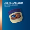 Vaseline Cocoa Butter Healing Jelly Travel-Size 12-Pack – Rich Moisturizing